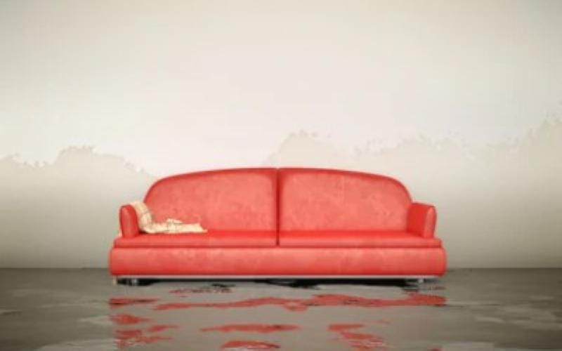 Chống thấm Kova CT11A Plus tạo lớp màng bảo vệ hiệu quả cho mọi bề mặt công trình, ngăn chặn sự xâm nhập của nước và các tác nhân gây hại từ môi trường, giúp kéo dài tuổi thọ công trình và duy trì vẻ đẹp thẩm mỹ.